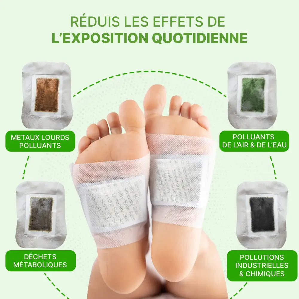 Patches Détox Japonais