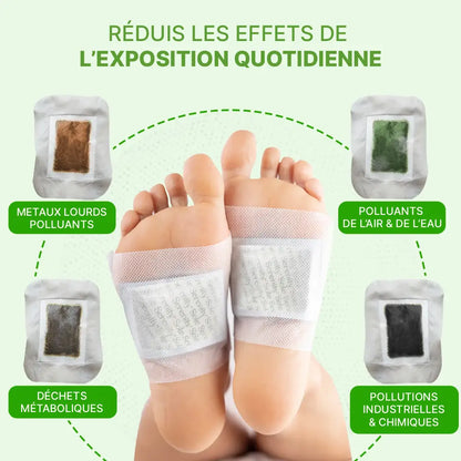 Patches Détox Japonais