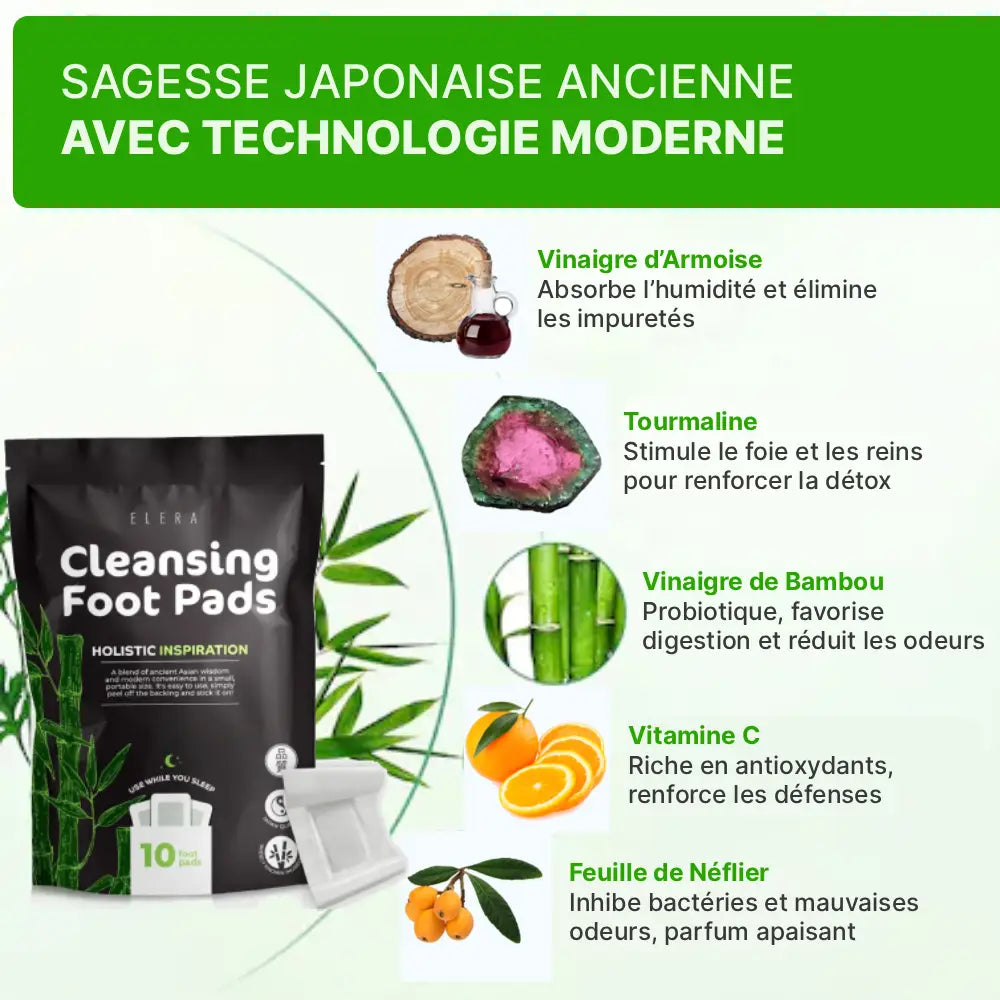 Patches Détox Japonais